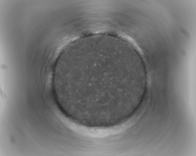 X0000091330018200708101434