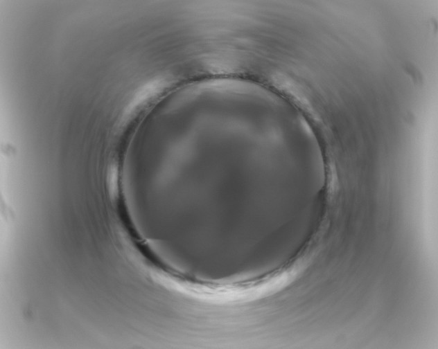 X0000091330019200708101434