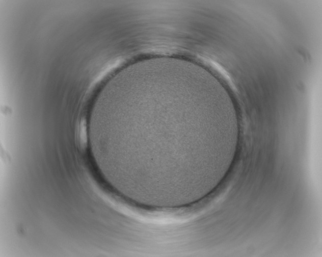 X0000091330020200708101434