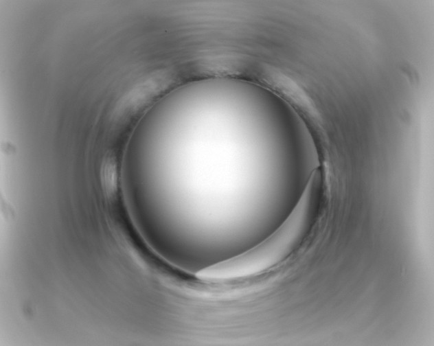 X0000091330021200708101434