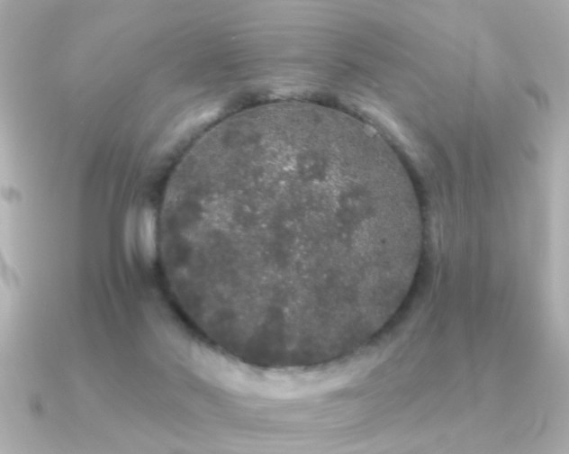 X0000091330022200708101434