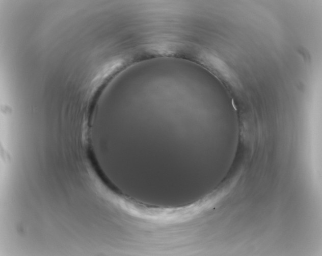 X0000091330023200708101434