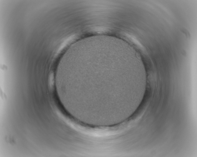 X0000091330024200708101434