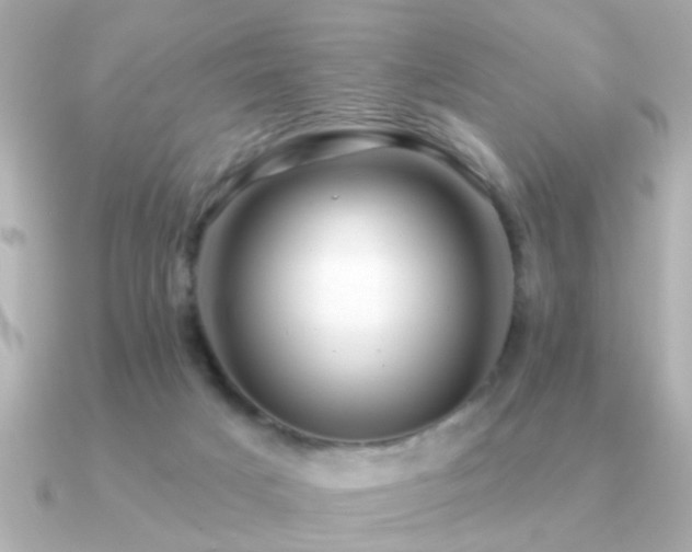 X0000091330025200708101434