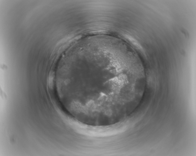 X0000091330026200708101434