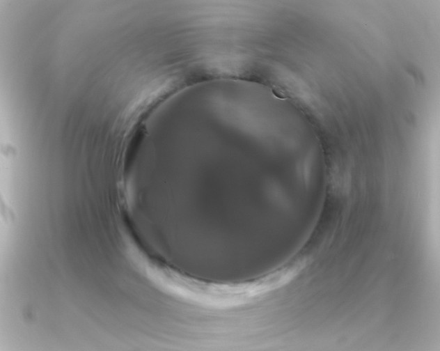 X0000091330027200708101434