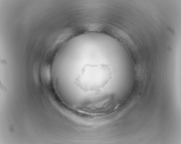 X0000091330028200708101434