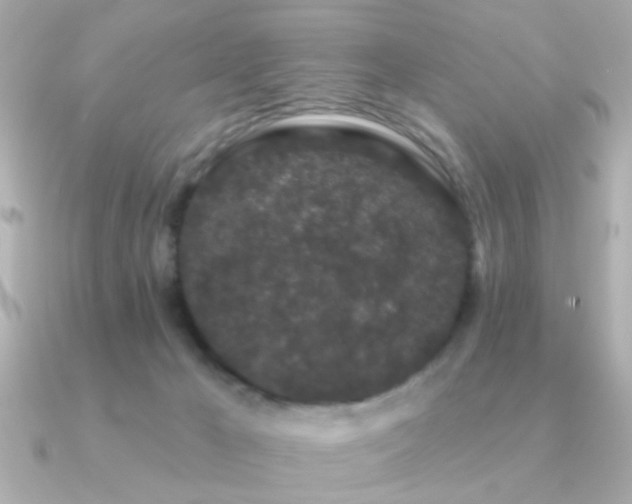 X0000091330029200708101434