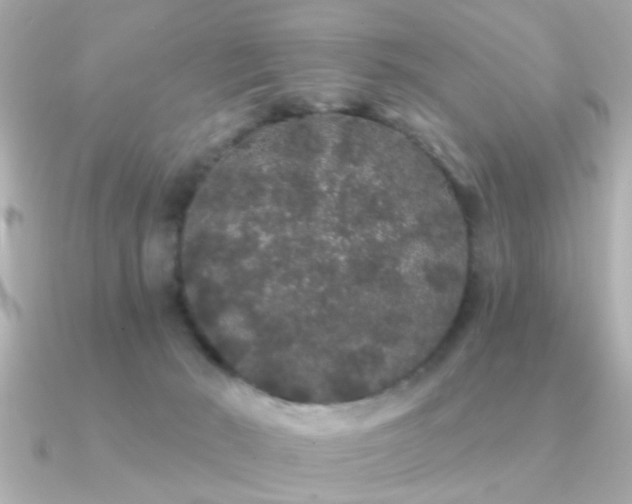 X0000091330030200708101434