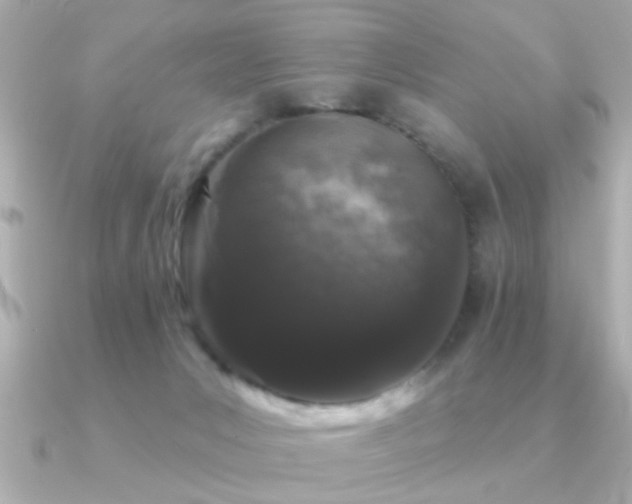 X0000091330031200708101434