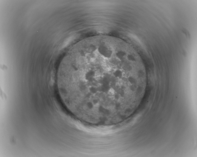 X0000091330032200708101434