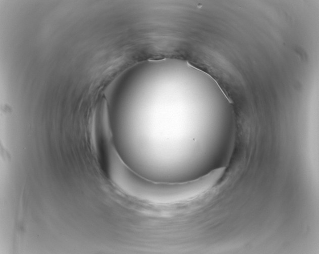 X0000091330033200708101434