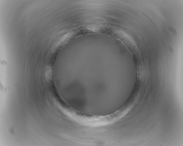 X0000091330036200708101434