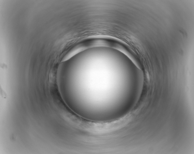 X0000091330037200708101434