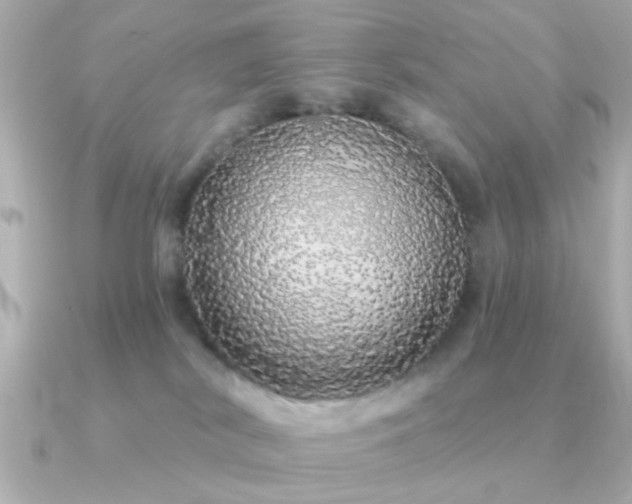 X0000091330038200708101433