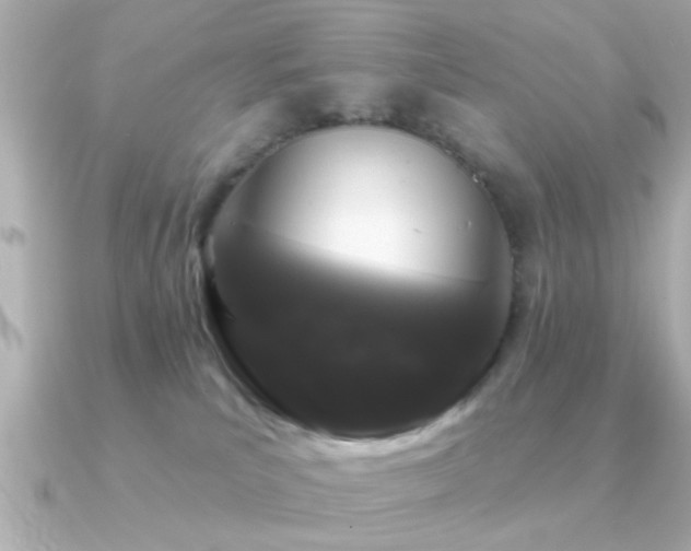 X0000091330039200708101433