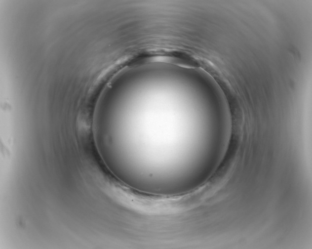 X0000091330040200708101433