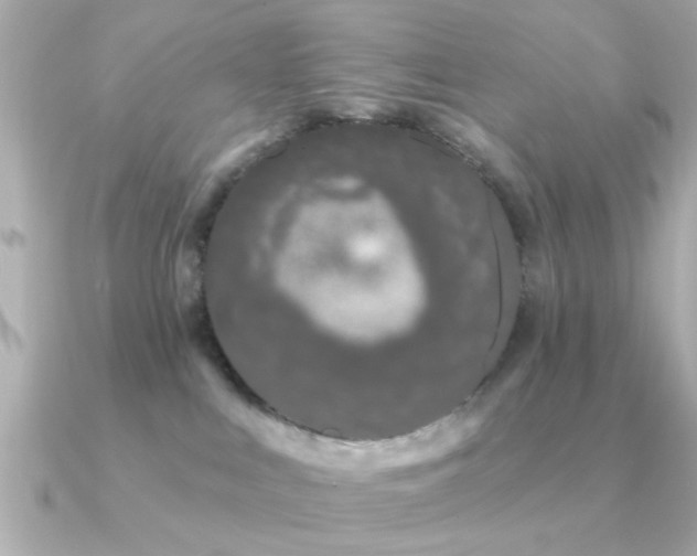 X0000091330043200708101433