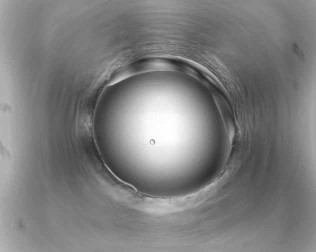 X0000091330045200708101433