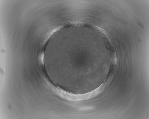 X0000091330047200708101433