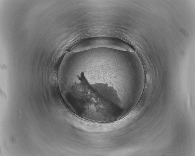 X0000091330048200708101433