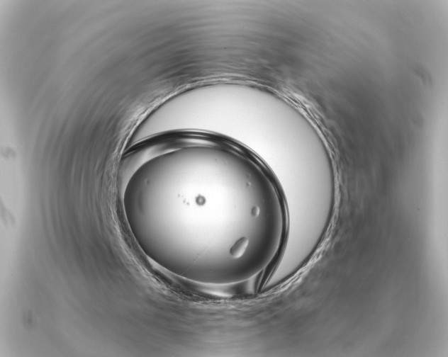 X0000091330049200708101433