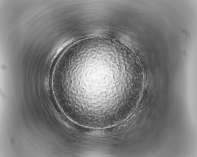 X0000091330050200708101433