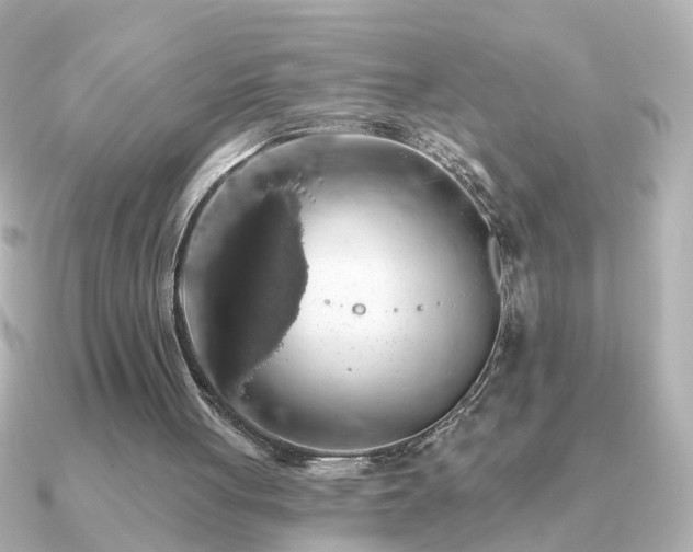 X0000091330051200708101433