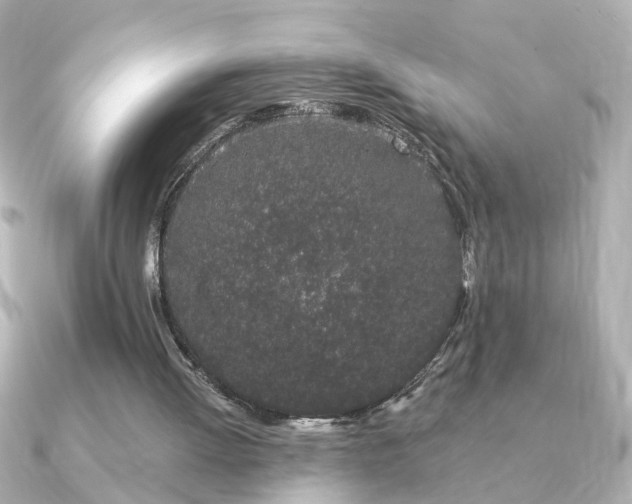 X0000091330052200708101433