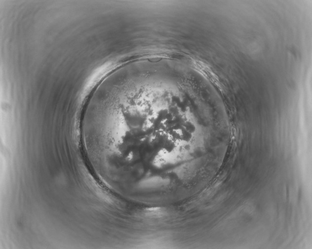 X0000091330053200708101433