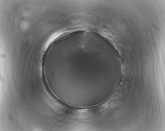 X0000091330054200708101433