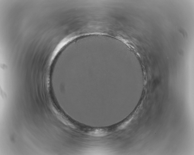 X0000091330056200708101433