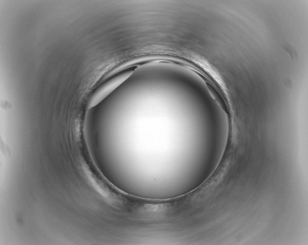 X0000091330057200708101433