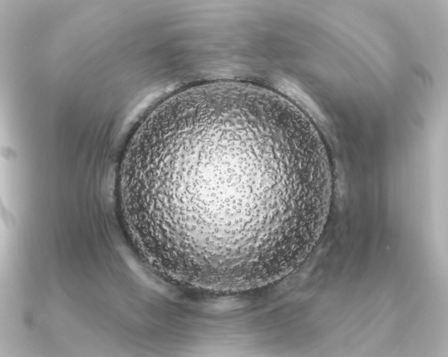 X0000091330058200708101433