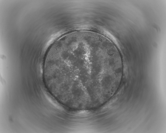 X0000091330059200708101433