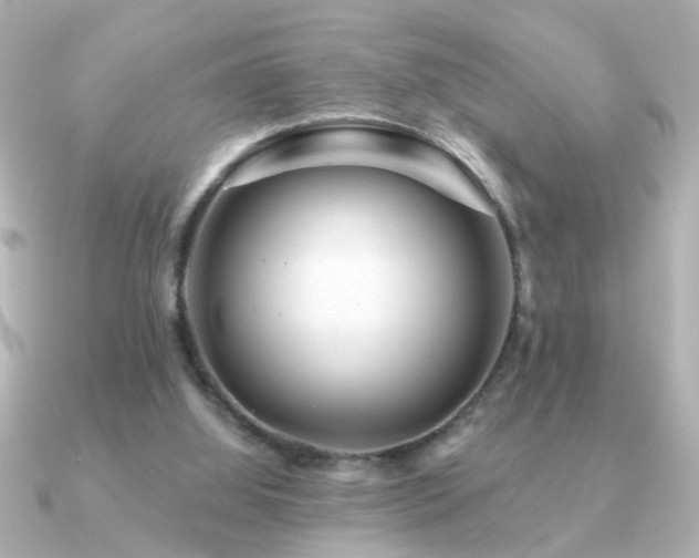 X0000091330060200708101433