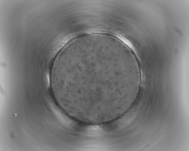 X0000091330061200708101433