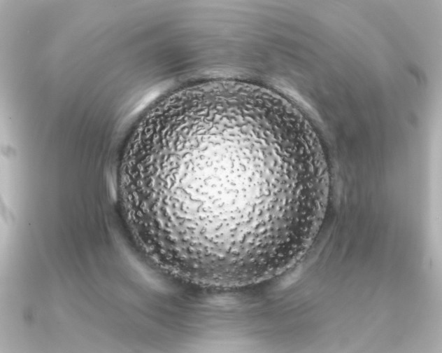 X0000091330062200708101433