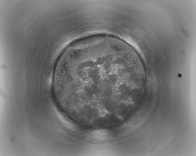 X0000091330063200708101433