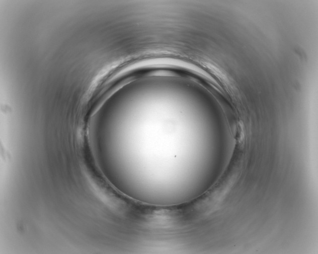 X0000091330064200708101433