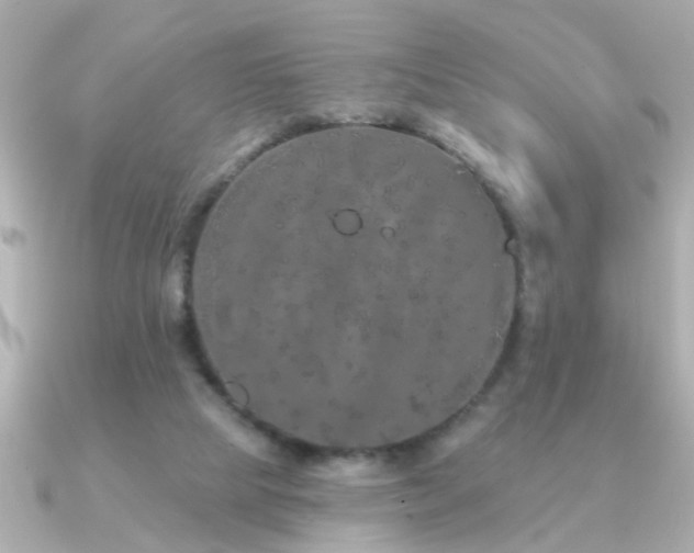 X0000091330065200708101433