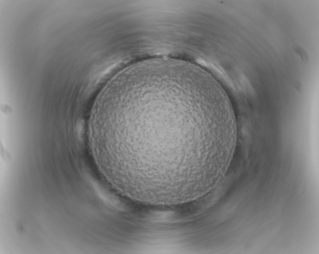 X0000091330066200708101433