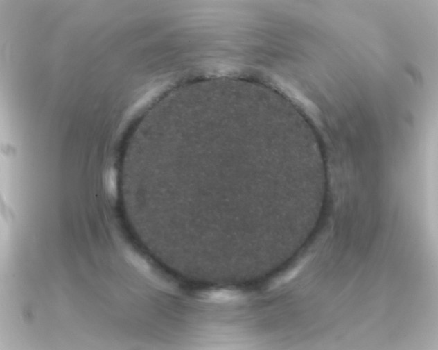 X0000091330067200708101433