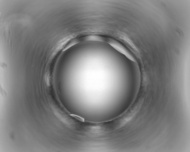 X0000091330068200708101433