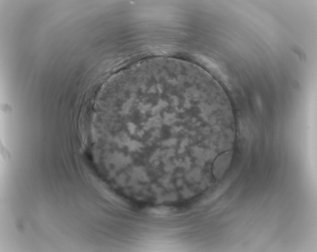 X0000091330069200708101433