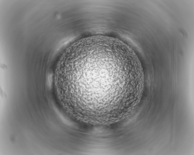 X0000091330070200708101433