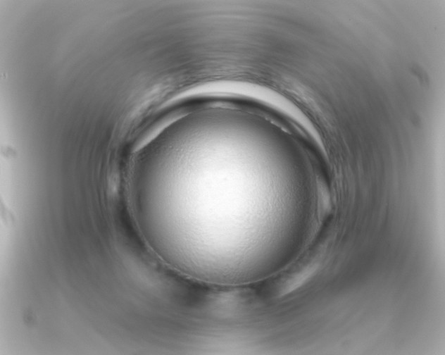 X0000091330072200708101433