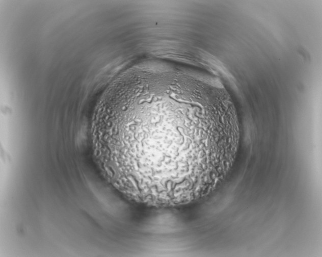 X0000091330073200708101433