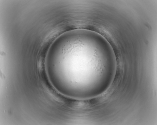 X0000091330074200708101433