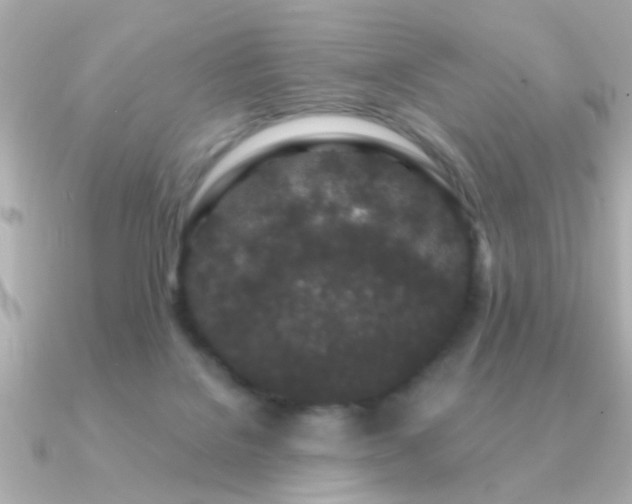 X0000091330076200708101433